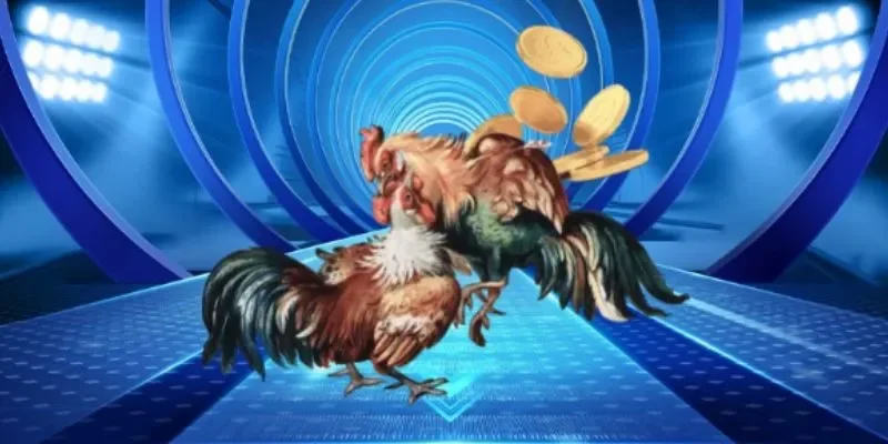 Phân tích chiến kê, quản lý vốn và cược hiệu quả tại BBET